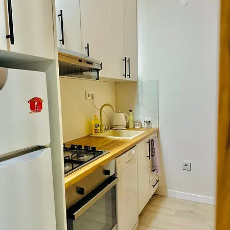 Modern & Cozy In Center -walk Everywhere Apartment