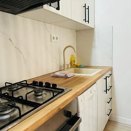 Apartment Modern & Cozy In Center -walk Everywhere *